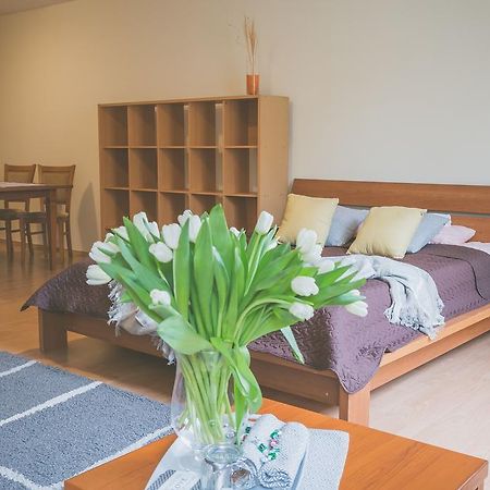 Apartamenty Przy Zamku Olštýn Exteriér fotografie