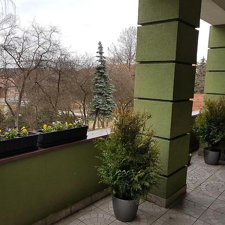 Apartamenty Przy Zamku Olštýn Exteriér fotografie