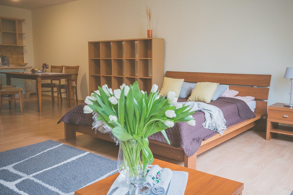 Apartamenty Przy Zamku Olštýn Exteriér fotografie